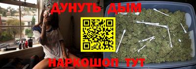 кокс Донской
