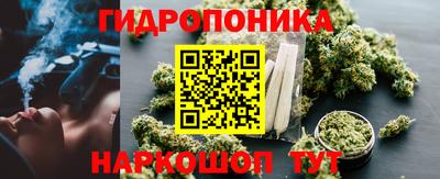 кокс Донской