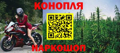 кокс Донской