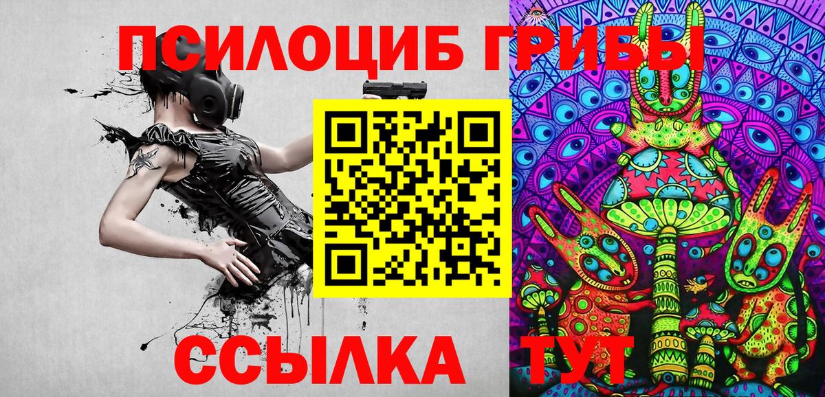 Галлюциногенные грибы GOLDEN TEACHER Владивосток