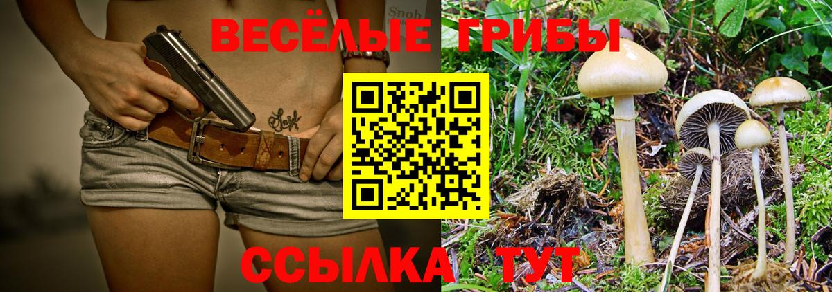 Галлюциногенные грибы прущие грибы  Псилоцибиновые грибы мицелий  наркотики  Вход с VPN  Владивосток 